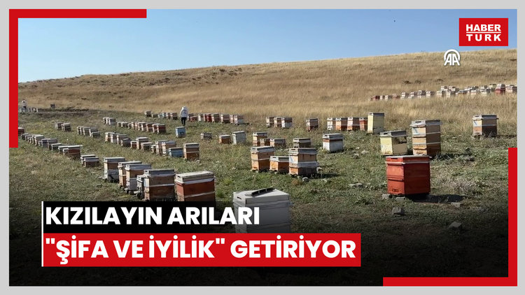 Kızılayın arıları ihtiyaç sahiplerine "şifa ve iyilik" getiriyor