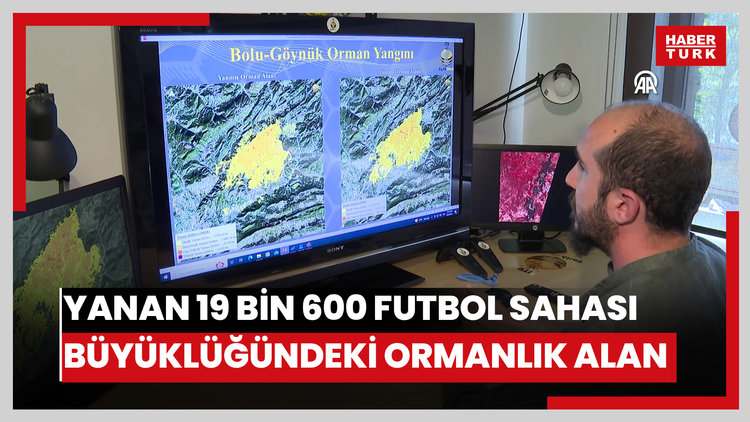 Yanan 19 bin 600 futbol sahası büyüklüğündeki ormanlık alan uzaydan görüntülendi