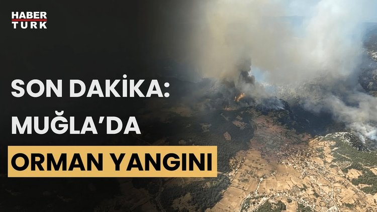 Muğla’da orman yangını: Alevler hızla yayıldı! Son durumu Fırat Akay aktardı!
