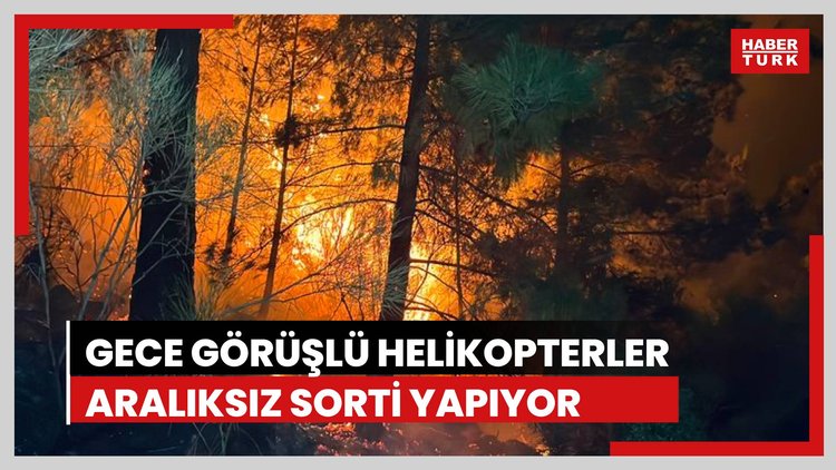 Muğla'da orman yangını