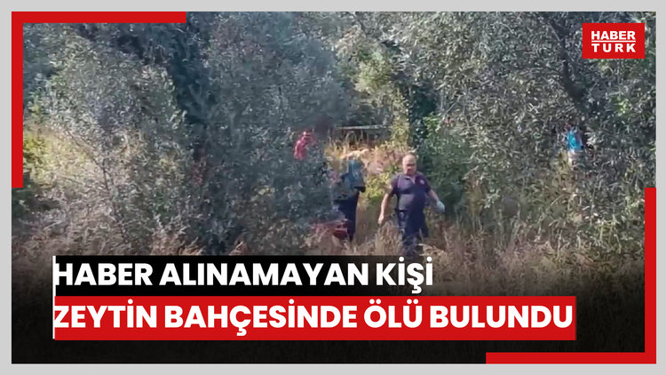 Haber alınamayan kişi zeytin bahçesinde ölü bulundu