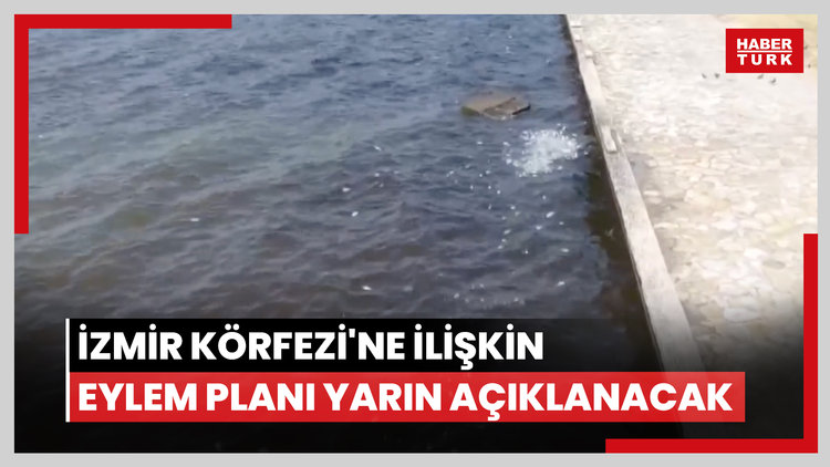 İzmir Körfezi'ne ilişkin eylem planı yarın açıklanacak
