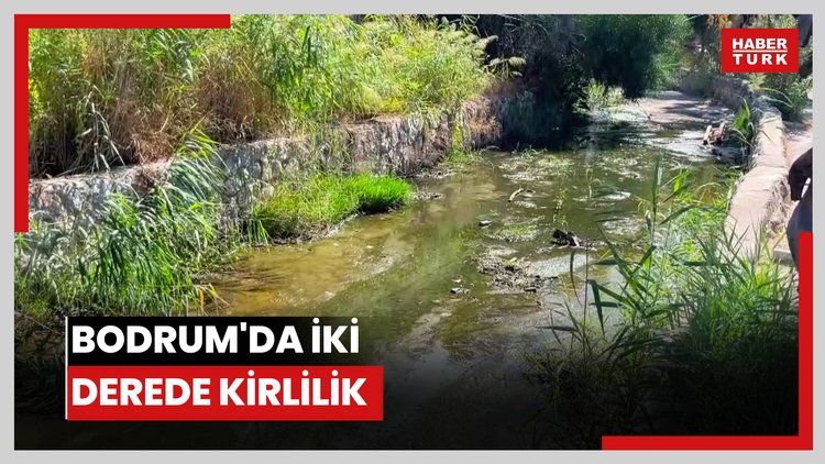 Bodrum'da iki derede kirlilik