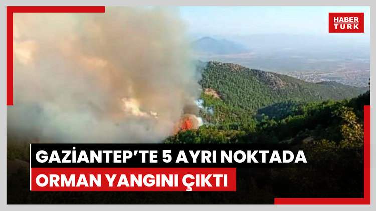 Gaziantep'te 5 ayrı noktada çıkan orman yangını 2 saatte söndürüldü