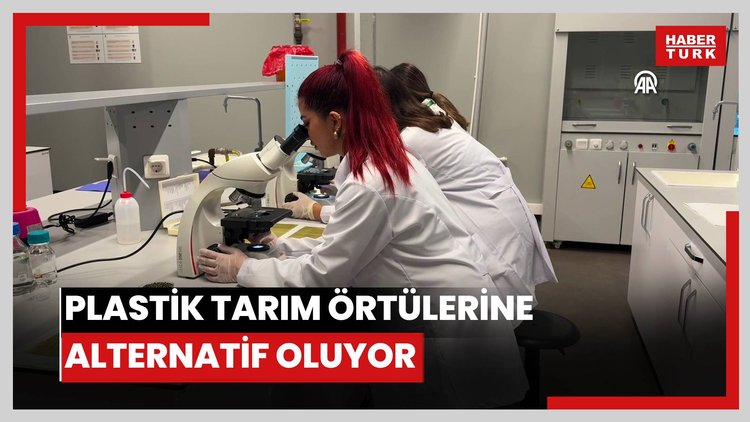 Yosunlardan geliştirilen ham madde, plastik tarım örtülerine alternatif oluyor