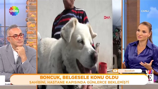 Boncuk da Türkiye'nin Hachıko'su! 