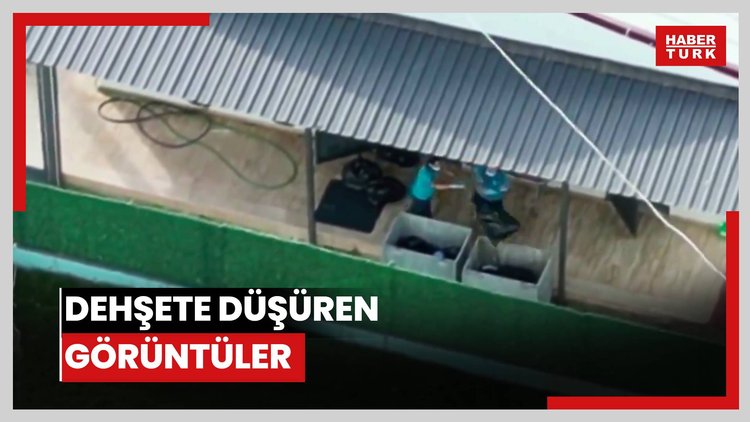 Dehşete düşüren görüntüler!