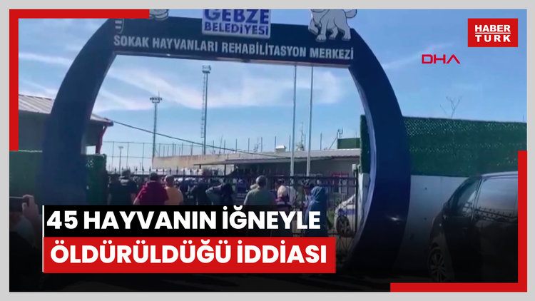 Rehabilitasyon merkezinde 45 hayvanın iğneyle öldürüldüğü iddiası