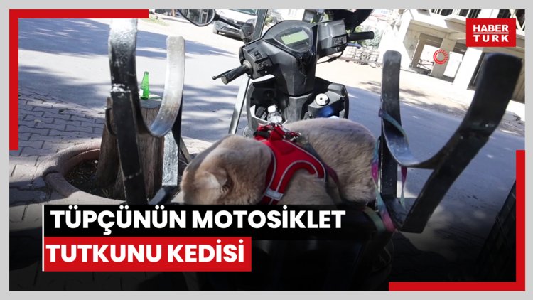 Tüpçünün motosiklet tutkunu kedisi: Servise gidiyorlar, omzunda gezdiriyor