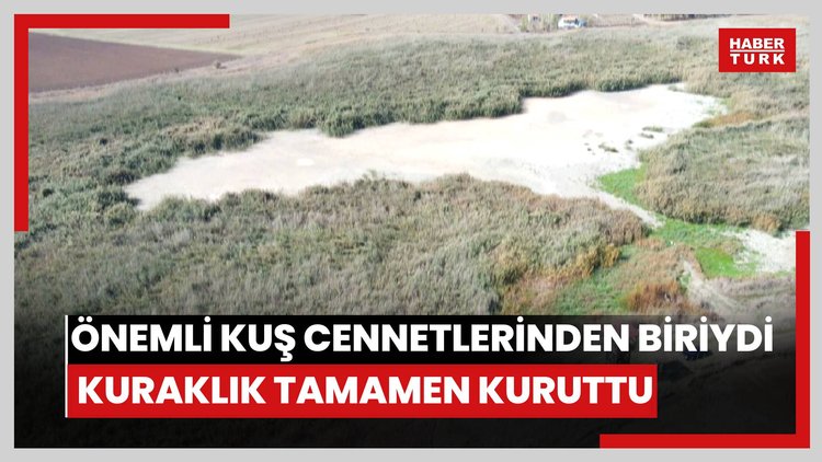 Türkiye'nin en önemli kuş cennetleri arasında yer alıyordu: Kuraklık tamamen kuruttu