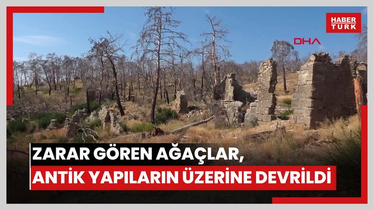 Büyük Manavgat yangınında zarar gören ağaçlar, antik yapıların üzerine devrildi