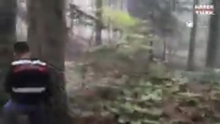 Sinop'ta kaçak kazı yapan 3 kişi suçüstü yakalandı
