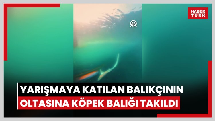 İzmir'de yarışmaya katılan balıkçının oltasına köpek balığı takıldı