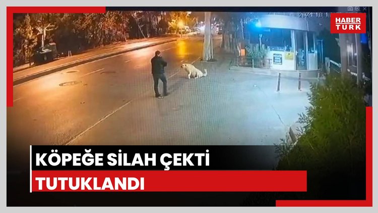 Köpeğe silah çeken adam tutuklandı