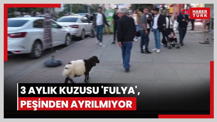 3 aylık kuzusu 'Fulya', peşinden ayrılmıyor
