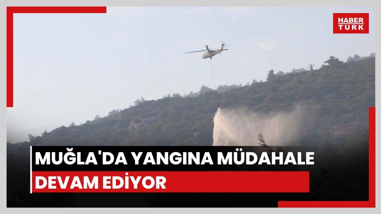 Muğla'da orman yangını