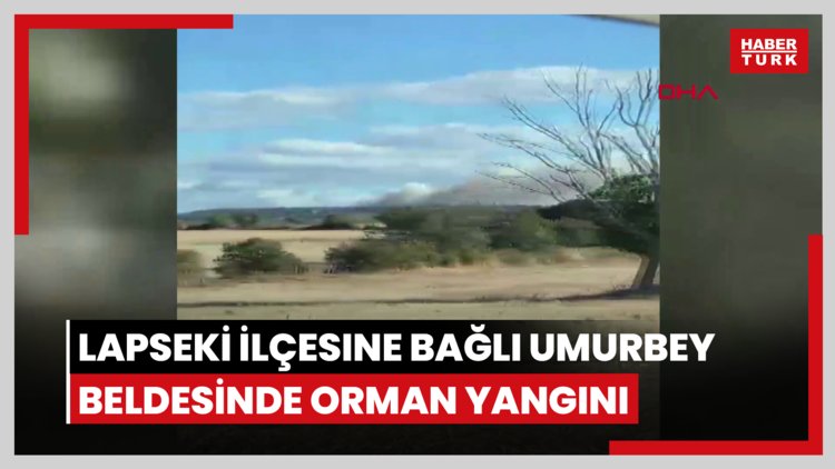 Çanakkale'nin Lapseki ilçesine bağlı Umurbey beldesinde orman yangını