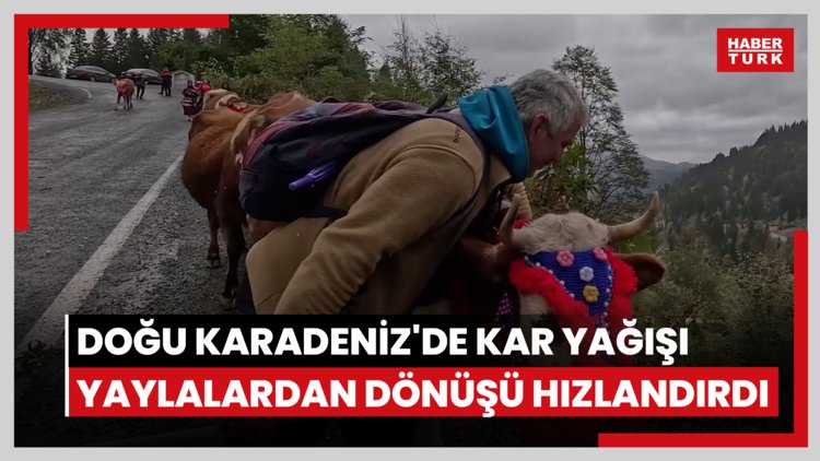 Doğu Karadeniz'de kar yağışı yaylalardan dönüşü hızlandırdı