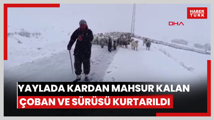 Yaylada kardan mahsur kalan çoban ve sürüsü kurtarıldı