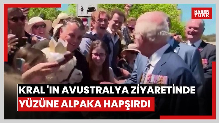 Kral Charles'ın Avustralya ziyaretinde yüzüne alpaka hapşırdı