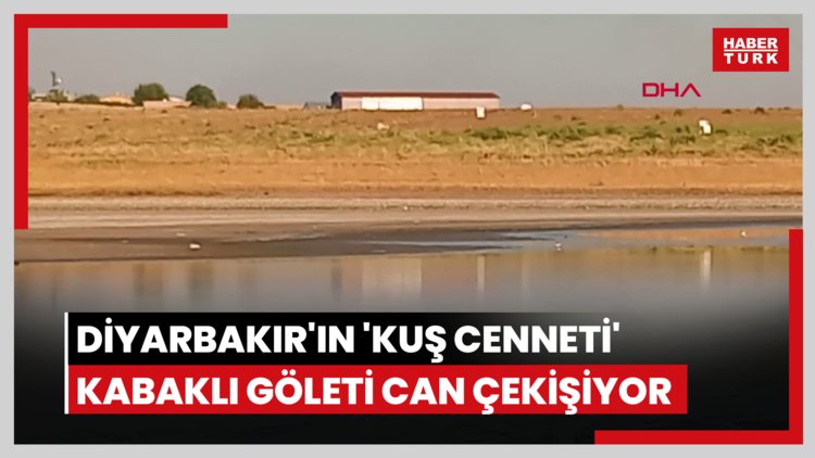 Diyarbakır'ın 'kuş cenneti' Kabaklı Göleti can çekişiyor