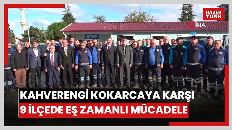 Kahverengi kokarcaya karşı 9 ilçede eş zamanlı mücadele
