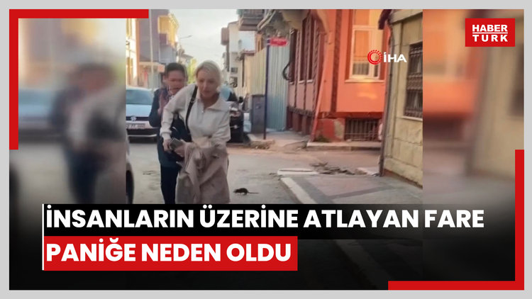 İnsanların üzerine atlayan fare paniğe neden oldu