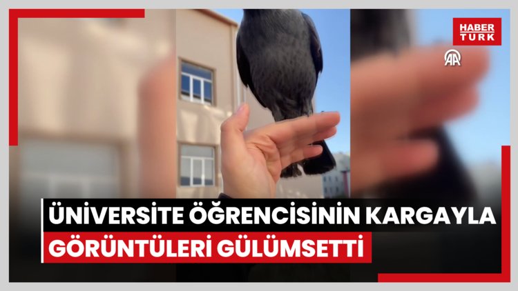 Üniversite öğrencisinin kargayla görüntüleri gülümsetti