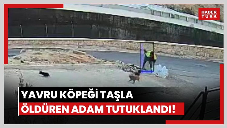 Yavru köpeği öldüren adam tutuklandı