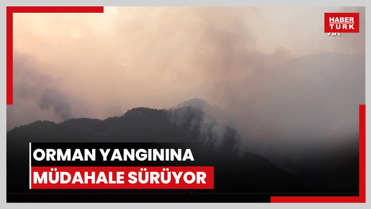 Orman yangınına müdahale sürüyor
