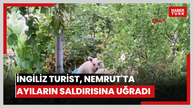 İngiliz turist, Nemrut'ta ayıların saldırısına uğradı