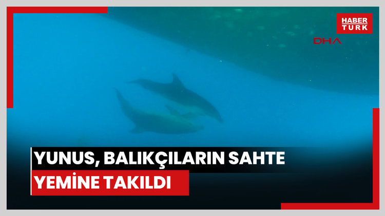 Yunus, balıkçıların sahte yemine takıldı