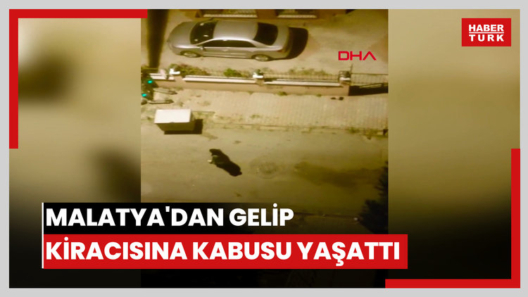 Malatya'dan gelip kiracısına dehşeti yaşattı: Camları kırıp 'bu kadını öldüreceğim' diye tehdit etti