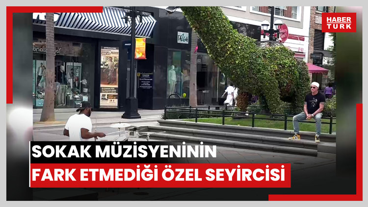 Sokak müzisyeninin fark etmediği özel seyircisi