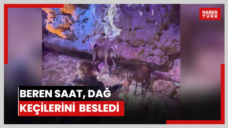 Beren Saat, dağ keçilerini  besledi