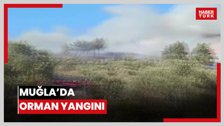 Muğla'da orman yangını