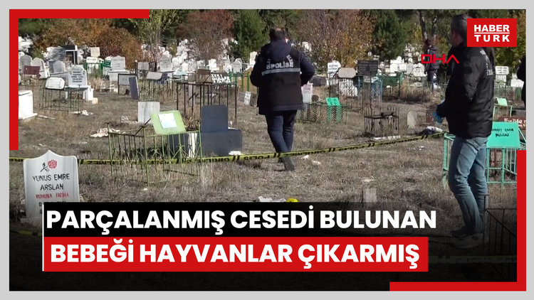 Parçalanmış cesedi bulunan bebeği mezardan hayvanlar çıkarmış