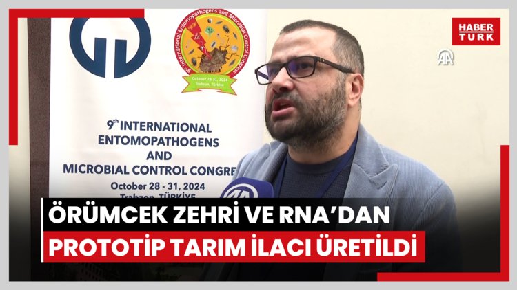 Zararlı böcekler için örümcek zehri ve RNA'dan prototip tarım ilacı üretildi