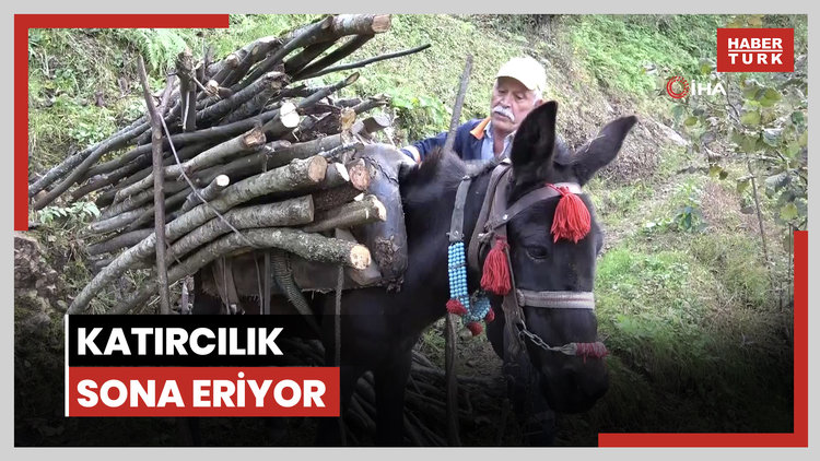 Giresun'un köylerinde katırcılık sona eriyor