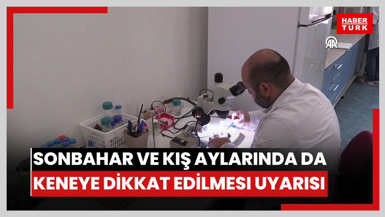 Sonbahar ve kış aylarında da keneye dikkat edilmesi uyarısı