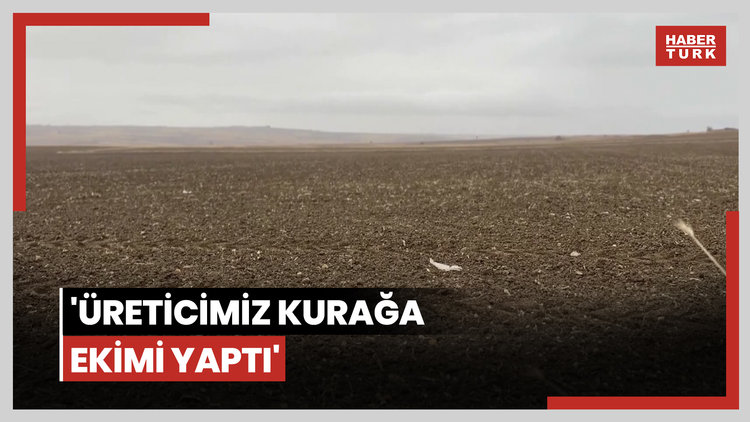 Ekim mesaisi biten buğdayda, üreticinin gözü yağışlarda