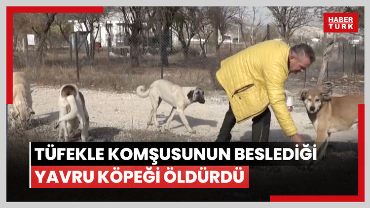 Tüfekle komşusunun beslediği yavru köpeği öldürdü