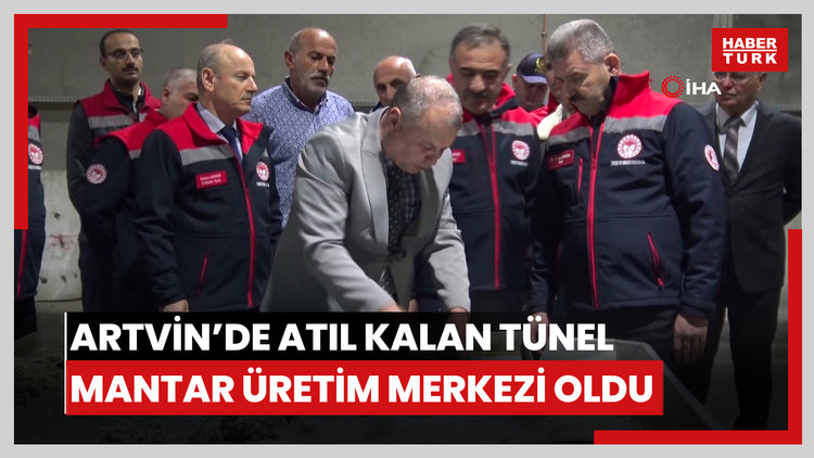 Artvin'de atıl kalan tünel mantar üretim merkezi oldu