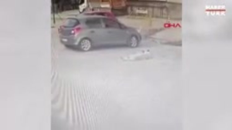 Köpeğin üzerinden geçip yoluna devam etti