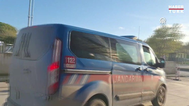 Samsun'da hayvana cinsel saldırı iddiasıyla gözaltına alınan zanlı tutuklandı