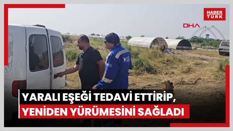 Ölüme terk edilen yaralı eşeği tedavi ettirip, yeniden yürümesini sağladı
