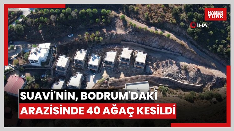 Suavi'nin Bodrum'daki arazisinde 40 ağaç kesildi