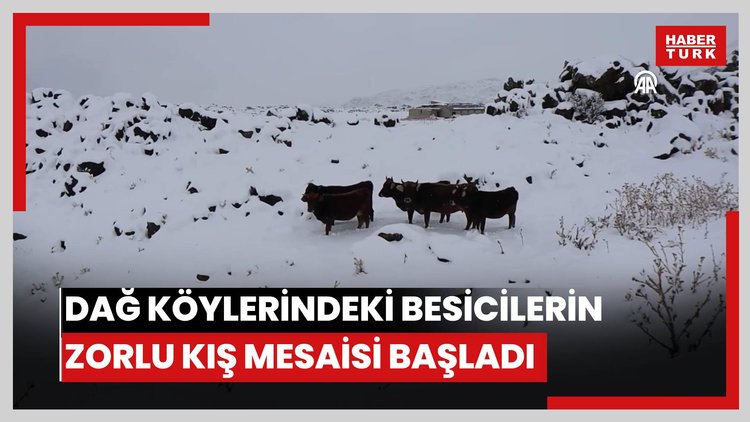 Dağ köylerindeki besicilerin zorlu kış mesaisi başladı