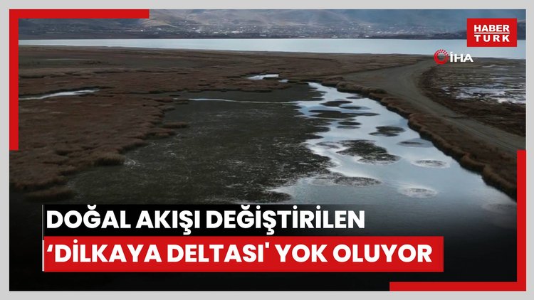 Doğal akışı değiştirilen 'Dilkaya Deltası' yok oluyor