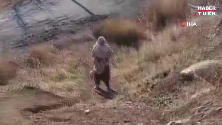 Tavuklarını çalan tilkiyi elleriyle yakaladı, o anlar kameraya yansıdı